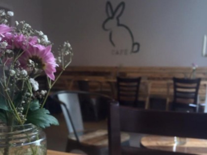 照片: hase